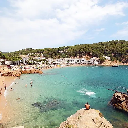 Ona Palamos